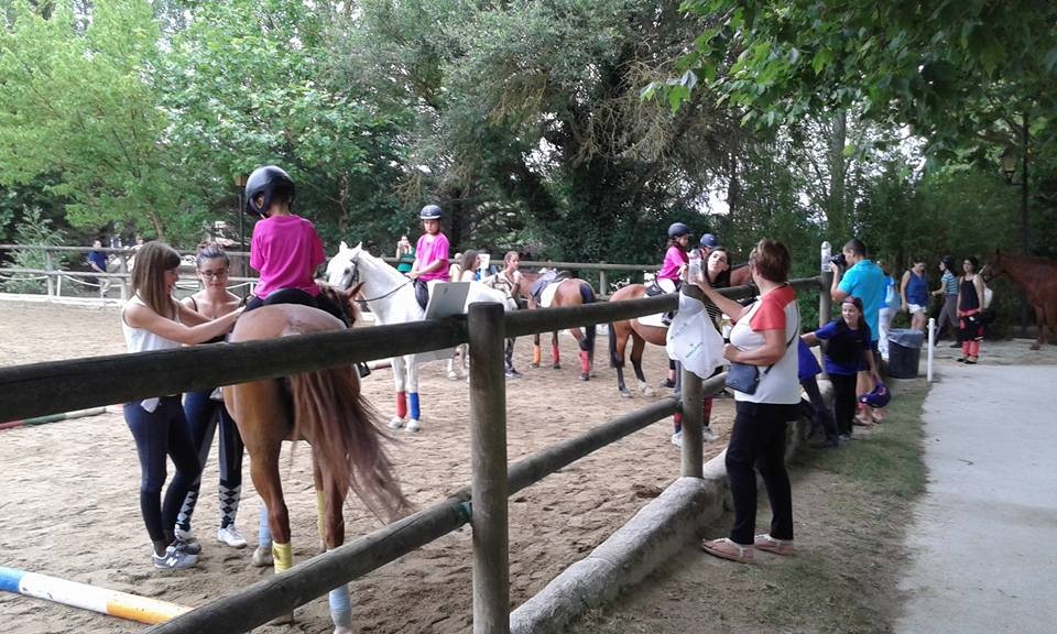 II. Campeonato Navarro Ponigames en Añezcar